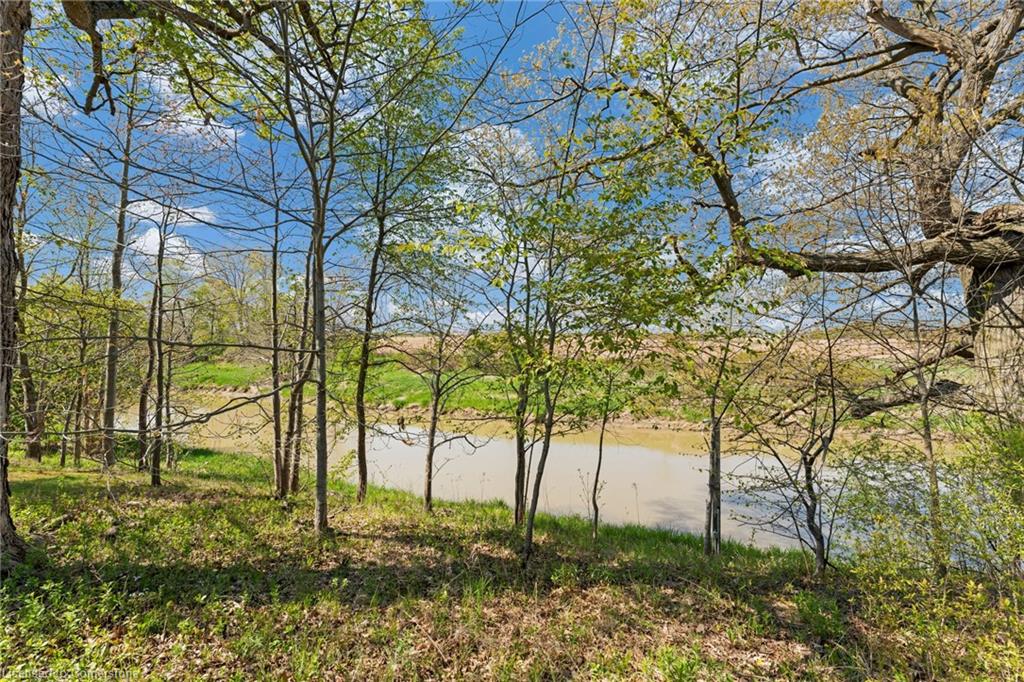 9488 North Chippawa Road Property Photo 39
