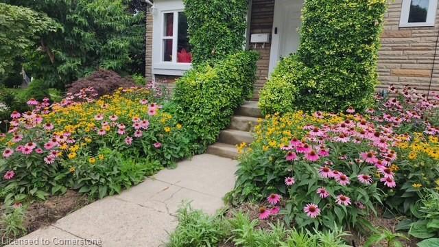 119 East 17th Street Property Photo 37