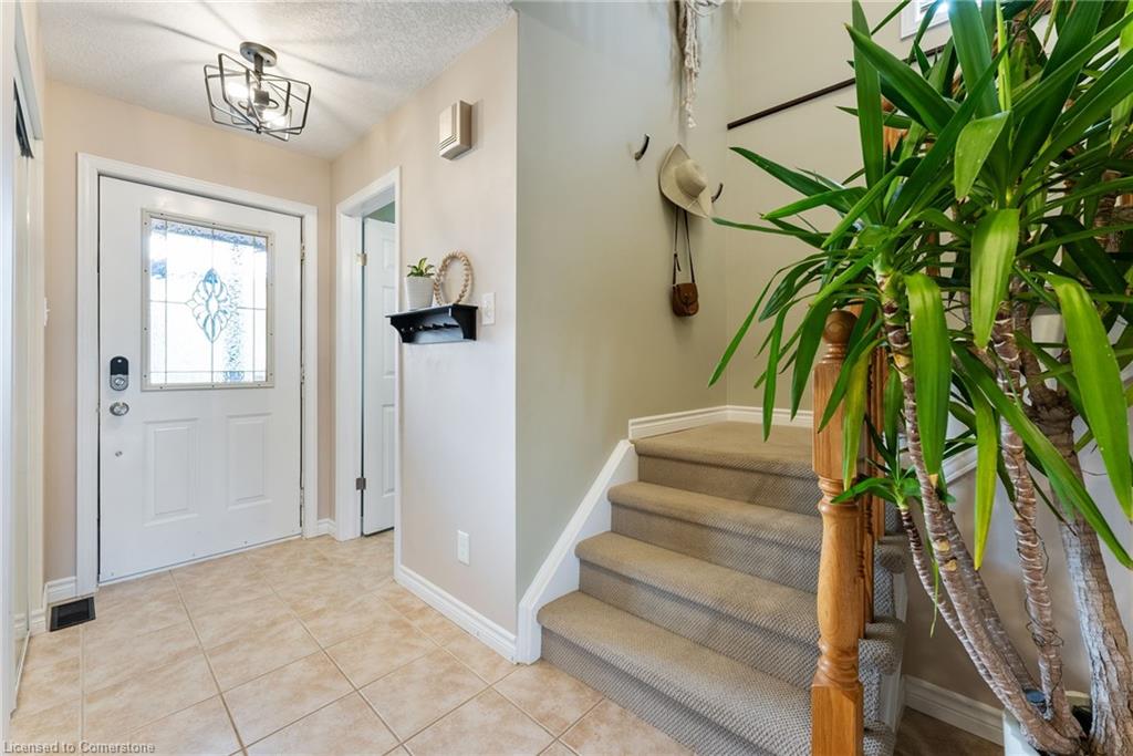 126 Cranbrook Street Property Photo 4