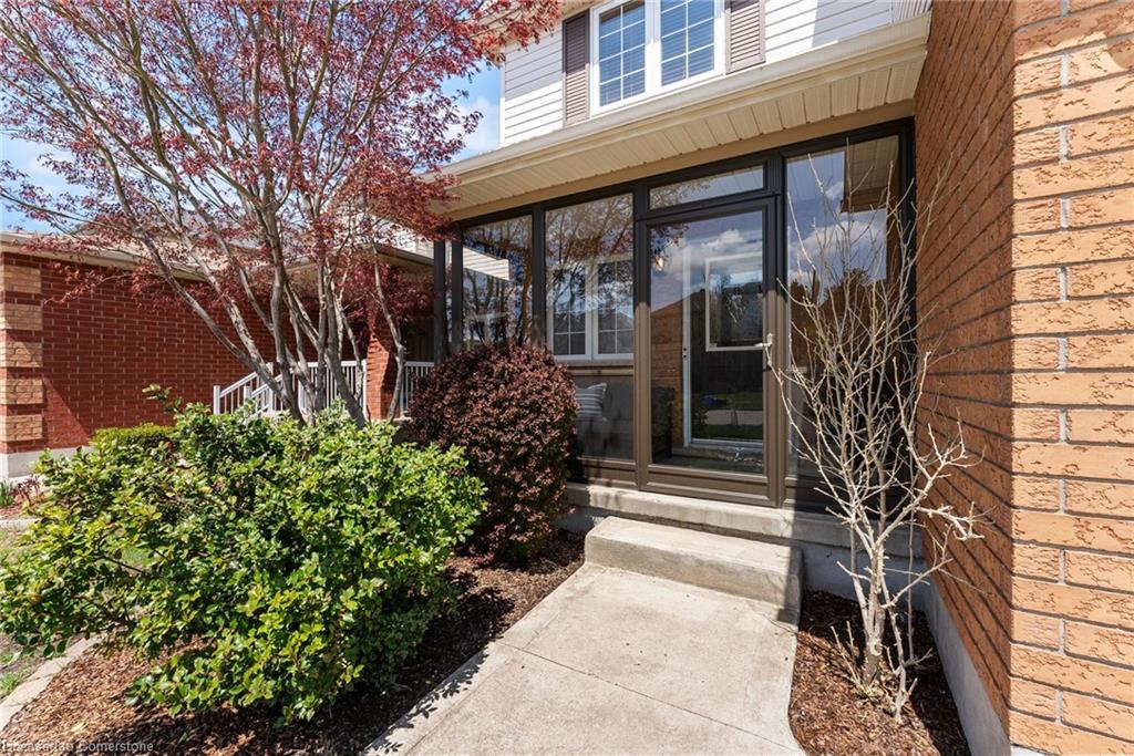 126 Cranbrook Street Property Photo 49