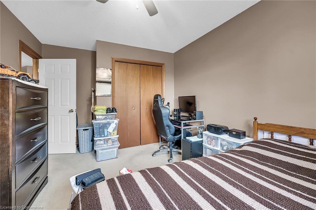 43 Jamieson Drive Property Photo 33