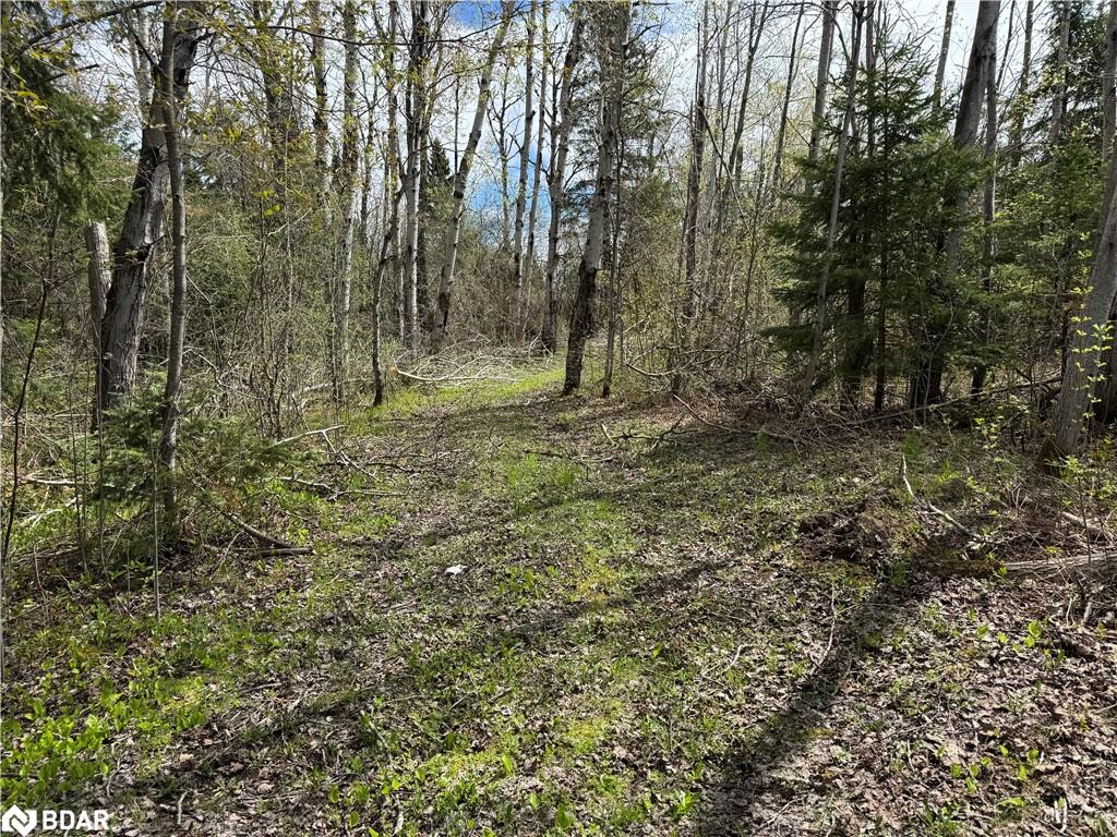 829 Prospect Street Property Photo 1
