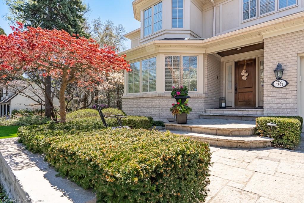 56 Cameo Street Property Photo 2