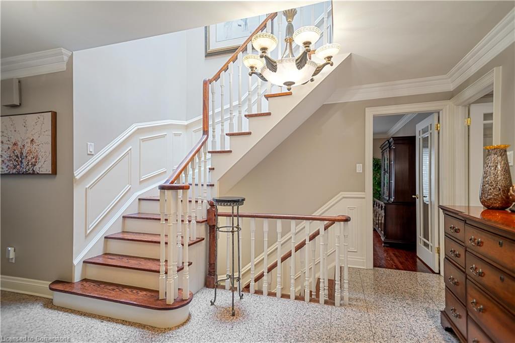 56 Cameo Street Property Photo 5