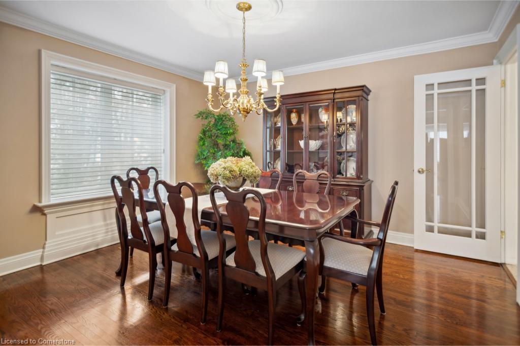 56 Cameo Street Property Photo 11