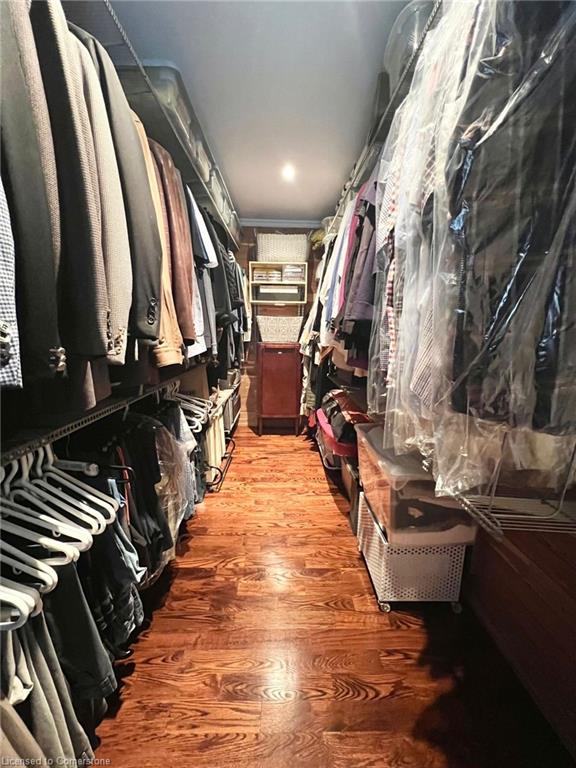 56 Cameo Street Property Photo 33