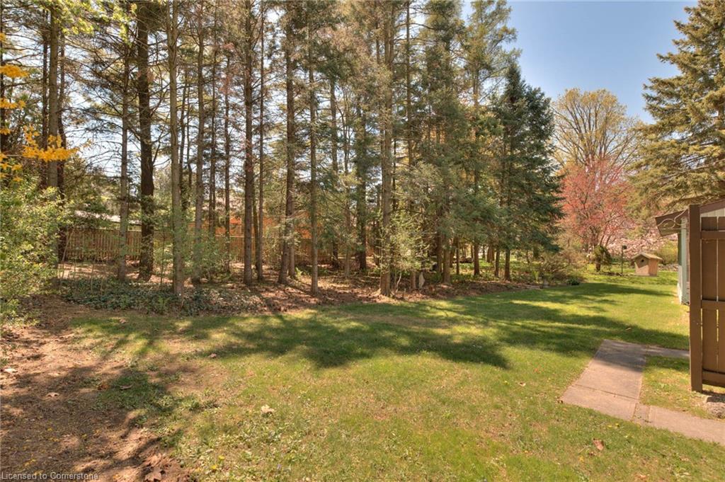 32 Newman Drive Property Photo 31