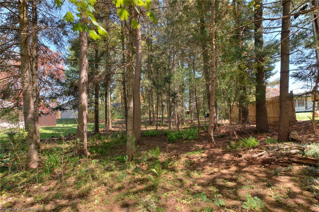 32 Newman Drive Property Photo 36