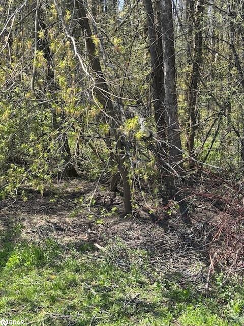 153 Courtland Street Property Photo