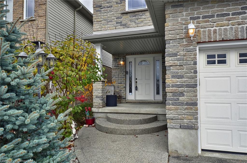 8 Lockwood Street Property Photo 3