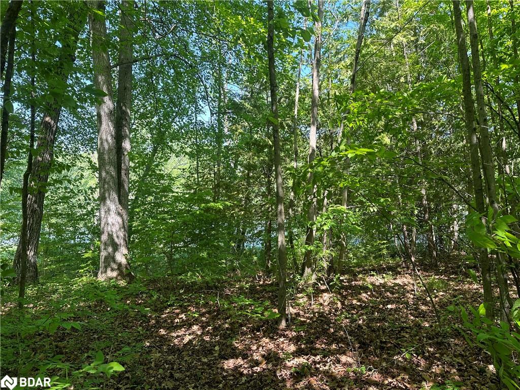 20 Riverside Drive Drive Property Photo 13