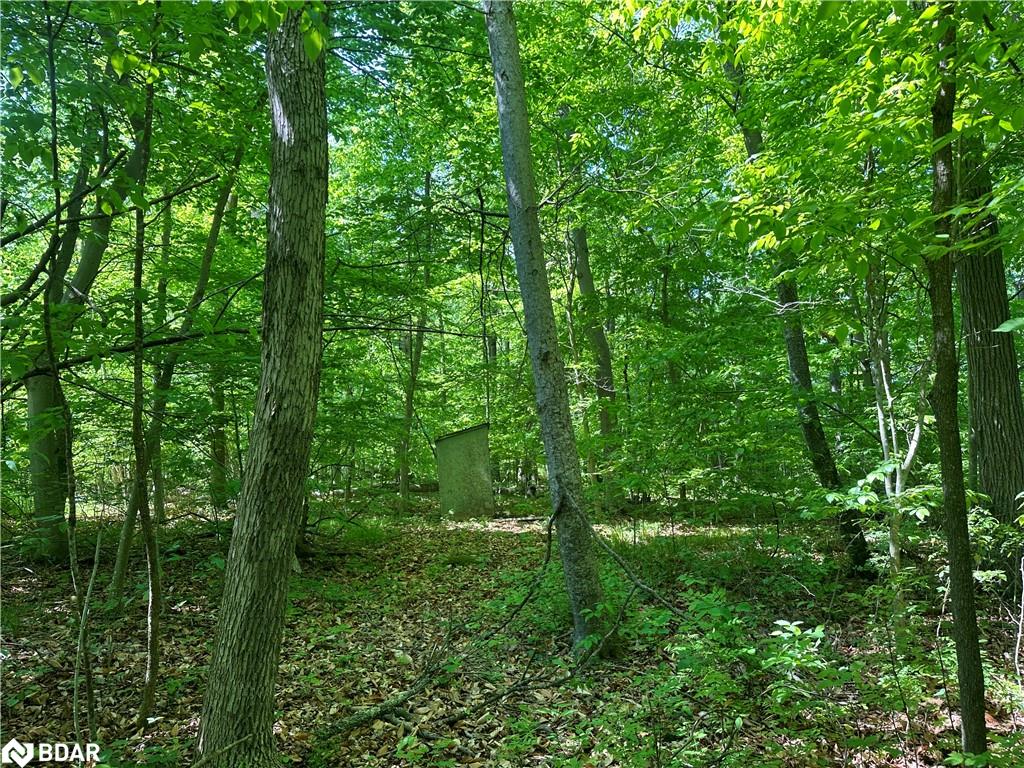20 Riverside Drive Drive Property Photo 17