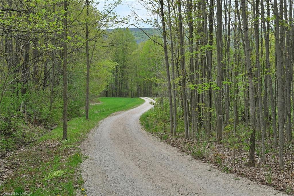 546299 Sideroad 4b Property Photo 24