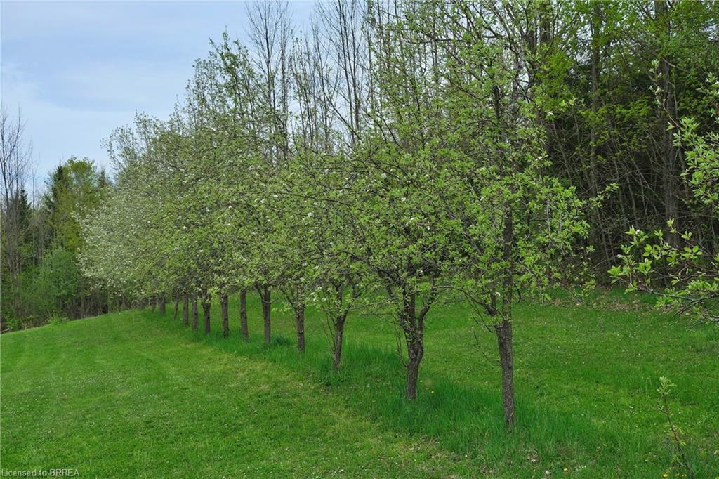 546299 Sideroad 4b Property Photo 33