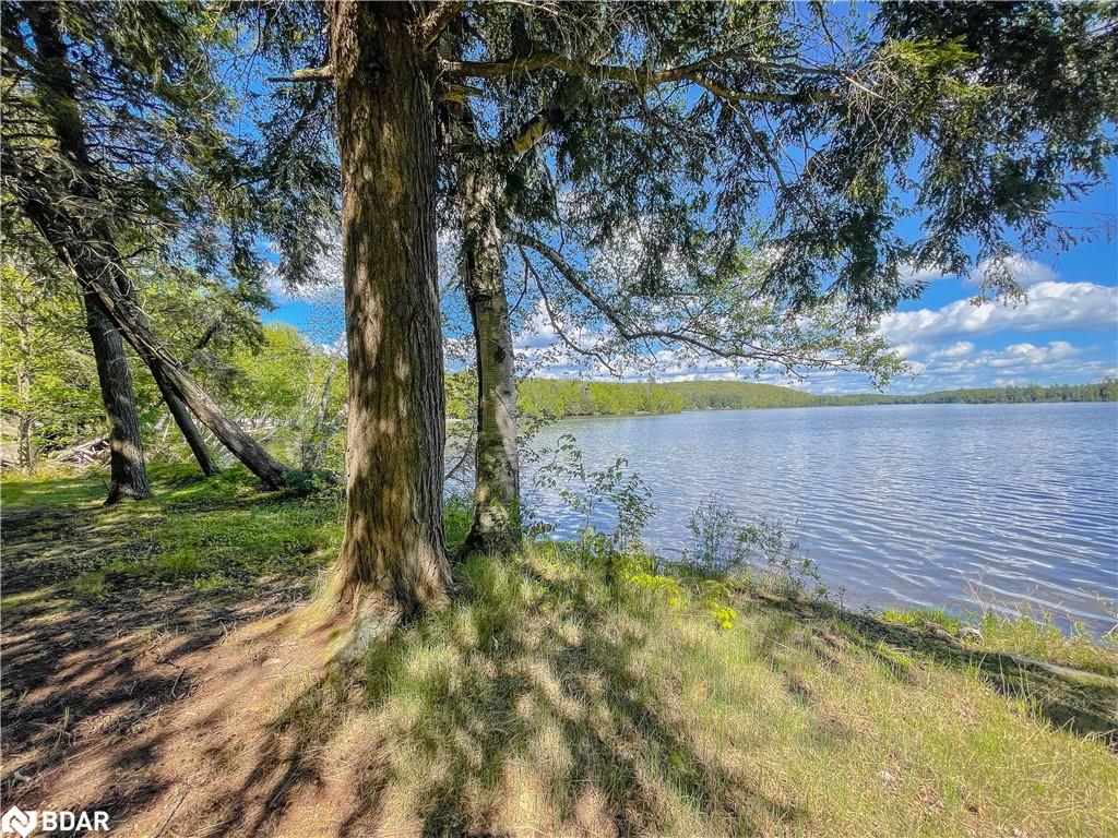 127 Blind Line Property Photo 2