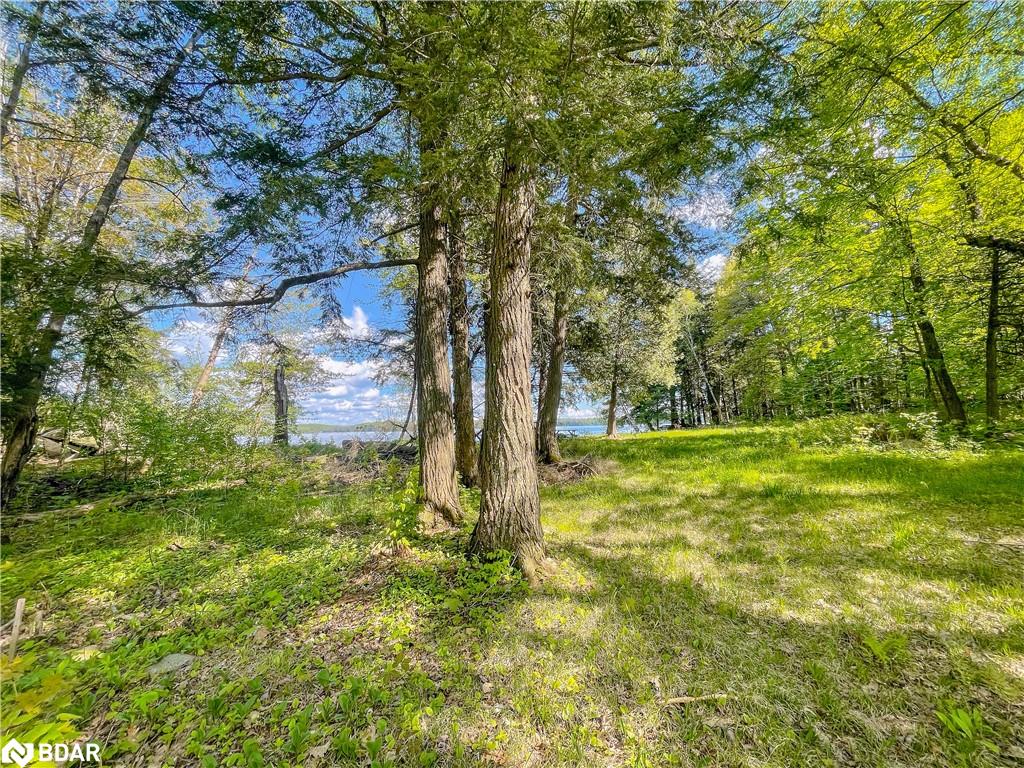 127 Blind Line Property Photo 13