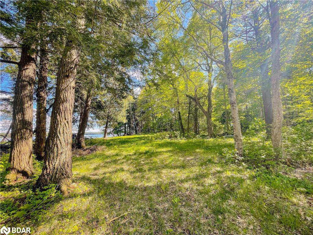 127 Blind Line Property Photo 14