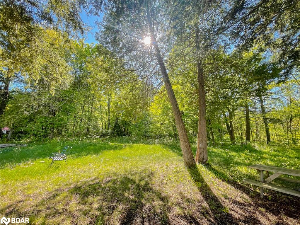 127 Blind Line Property Photo 15