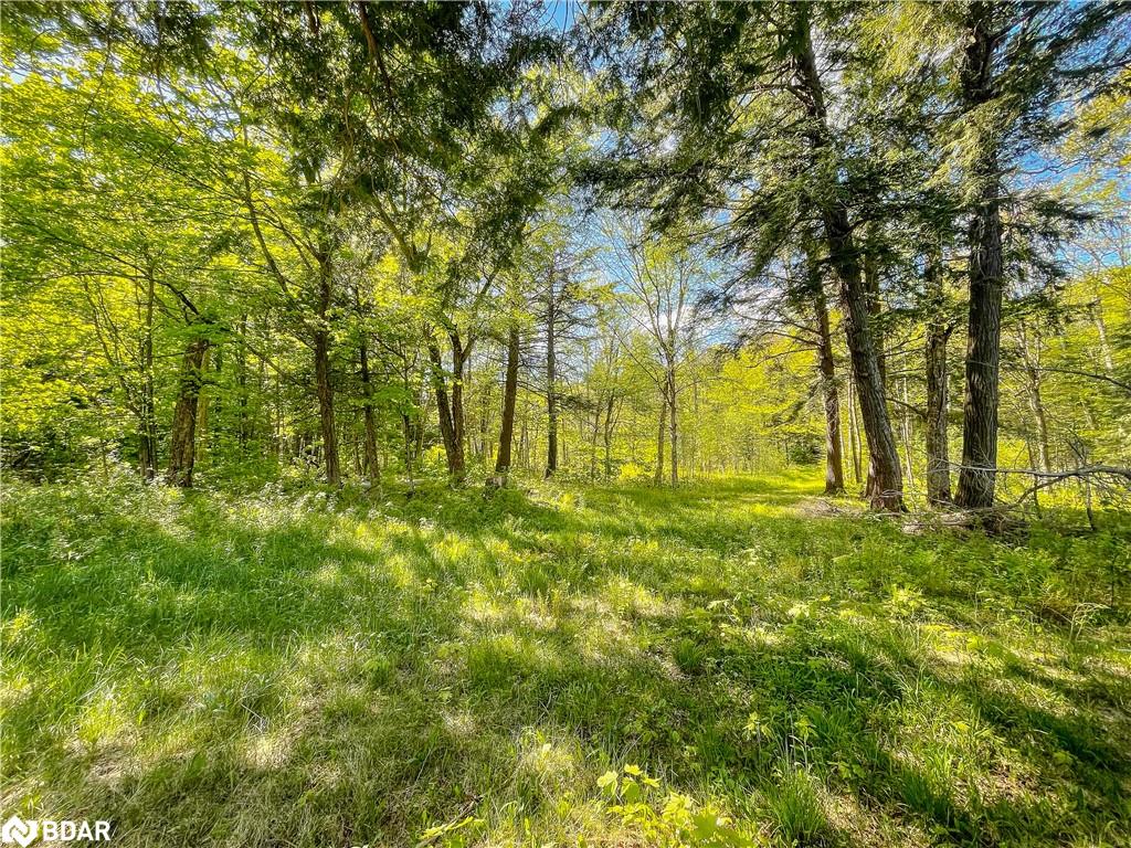 127 Blind Line Property Photo 16