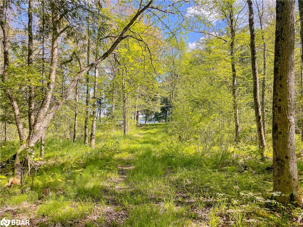 127 Blind Line Property Photo 18