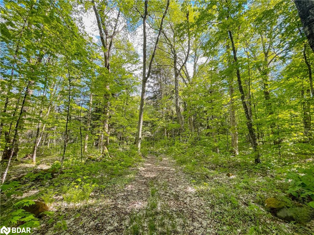 127 Blind Line Property Photo 21