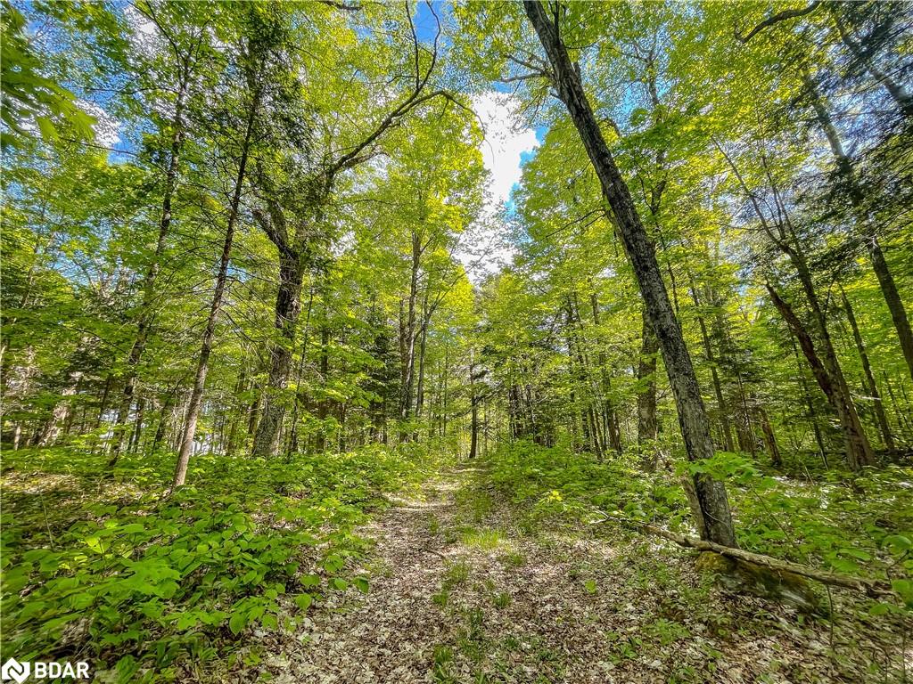 127 Blind Line Property Photo 23