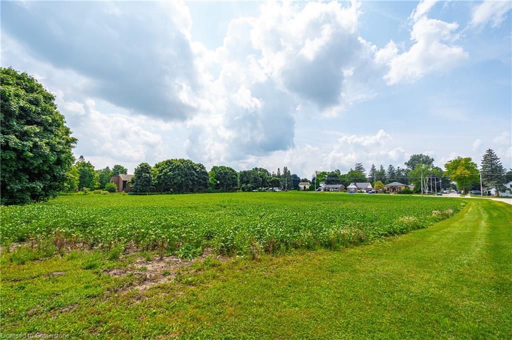 1-20 Lot Concession Property Photo 12