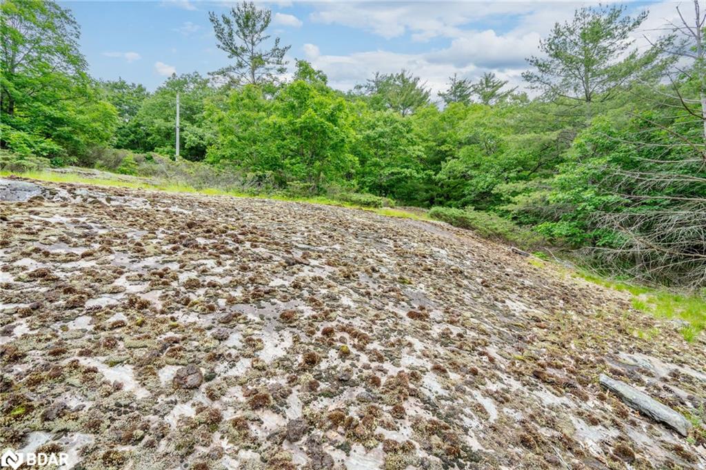 Lot 2 Delta Road Property Photo 13