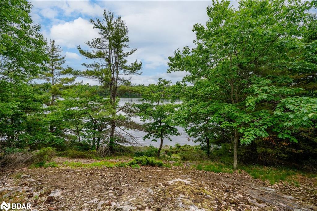 Lot 2 Delta Road Property Photo 16