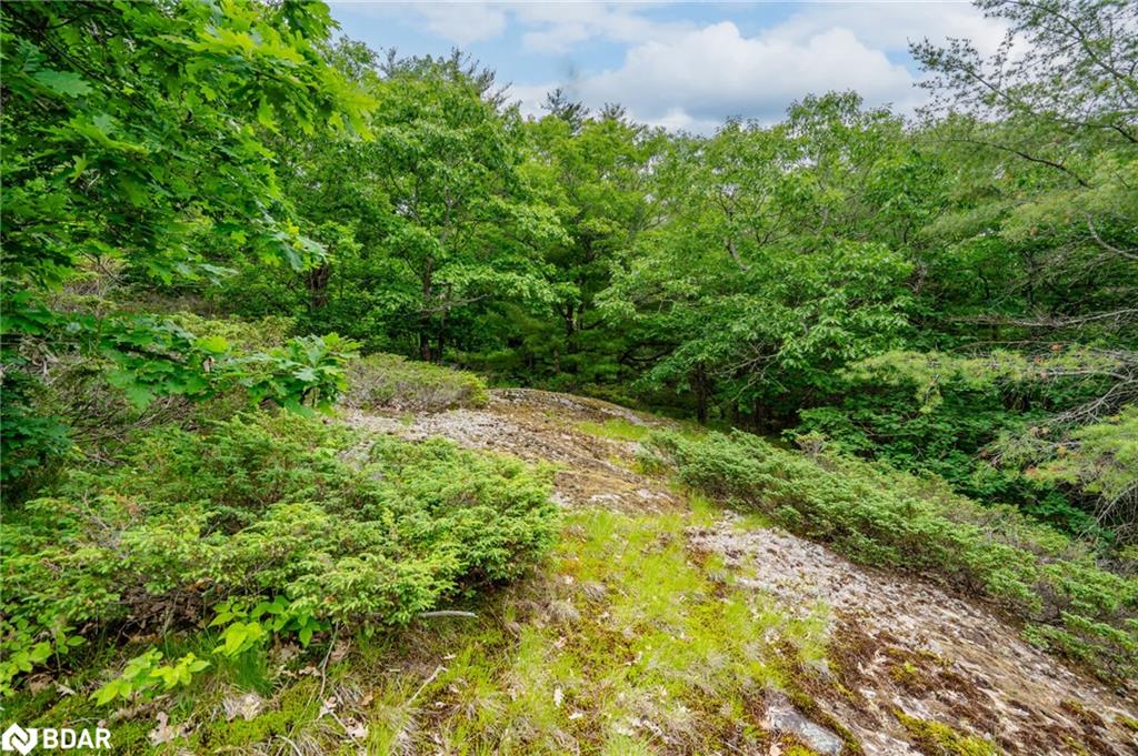 Lot 2 Delta Road Property Photo 17