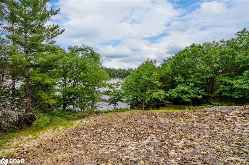 Lot 2 Delta Road Property Photo 19