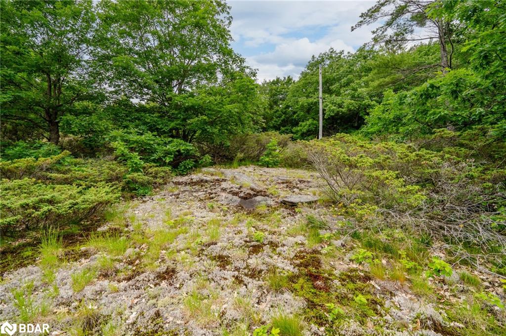 Lot 2 Delta Road Property Photo 20
