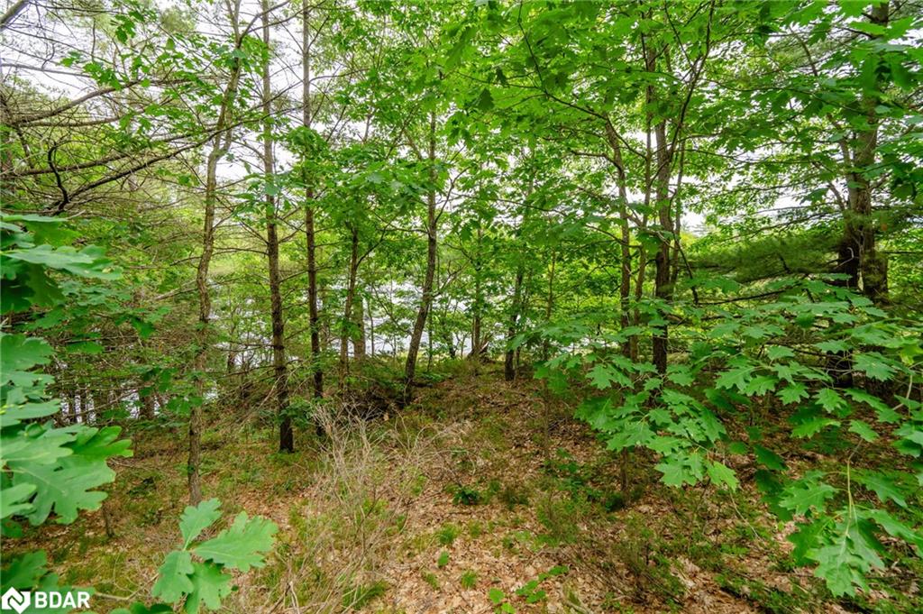 Lot 2 Delta Road Property Photo 22