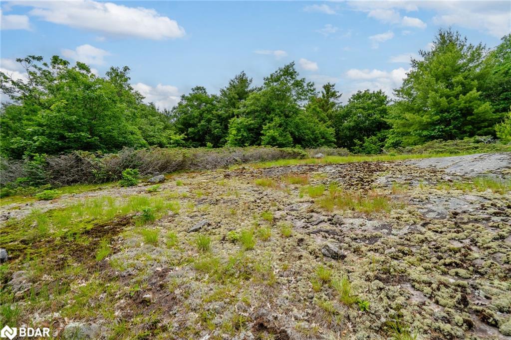 Lot 2 Delta Road Property Photo 25