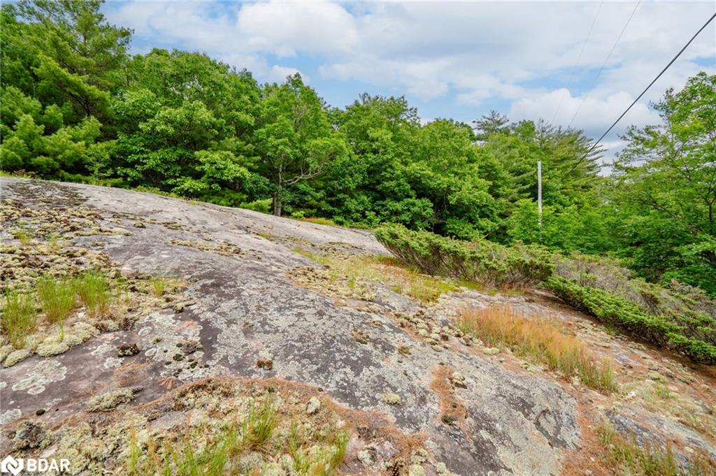Lot 2 Delta Road Property Photo 27