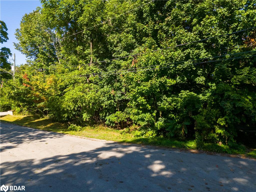 Lot 30 & Part Lot 29 Purvis Street Property Photo 15