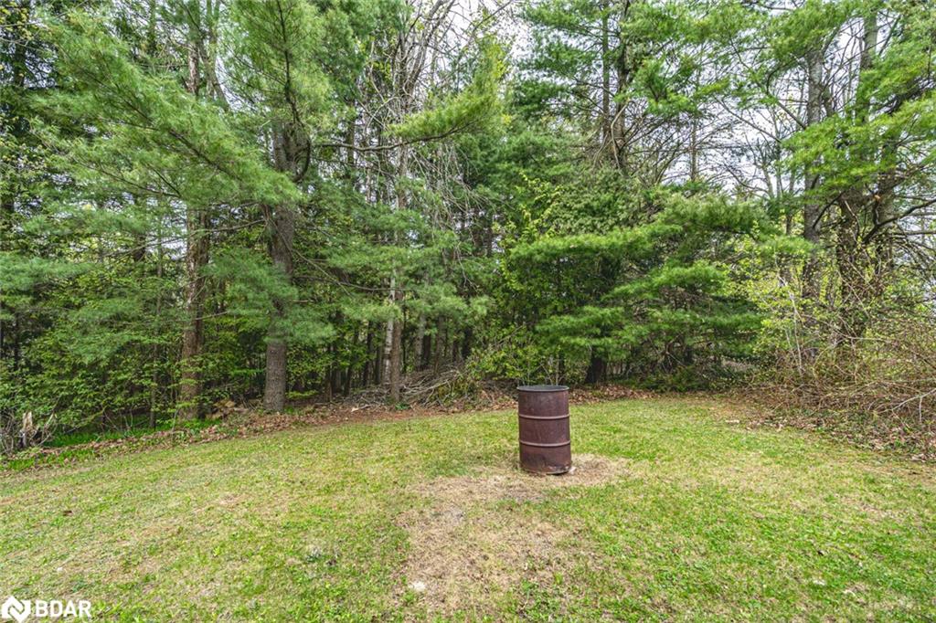 6 Mccutcheon Road Property Photo 21