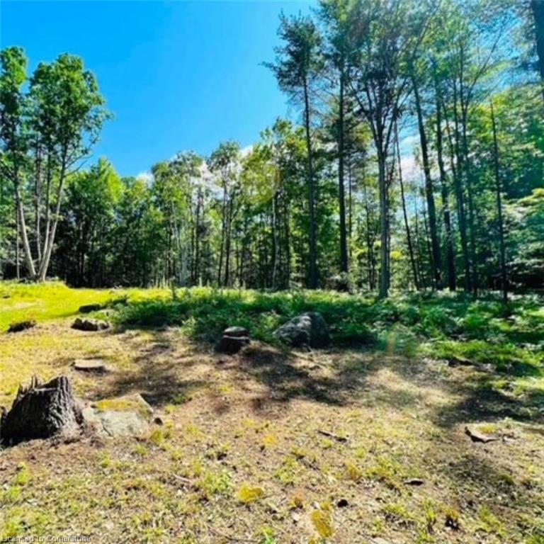 629 Bowen Road Property Photo 3