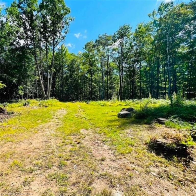 629 Bowen Road Property Photo 4