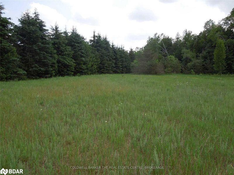 6 Tioga Boulevard Property Photo 2