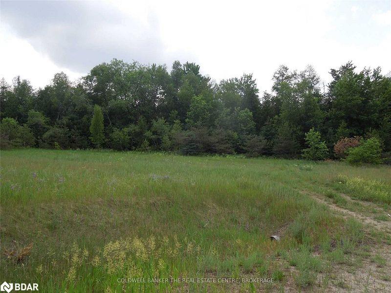 6 Tioga Boulevard Property Photo 4