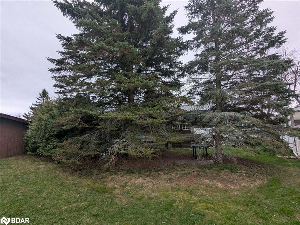 66 Linden Lane Property Photo 11
