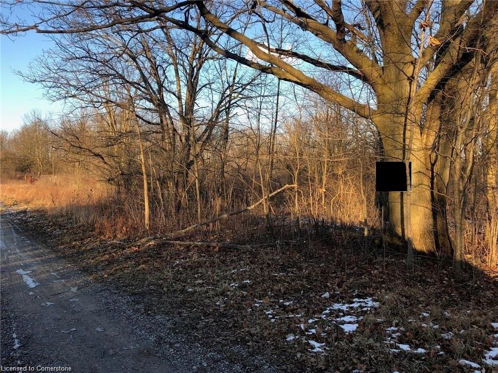 Lot 11 Hald-dunn Townline Road Property Photo