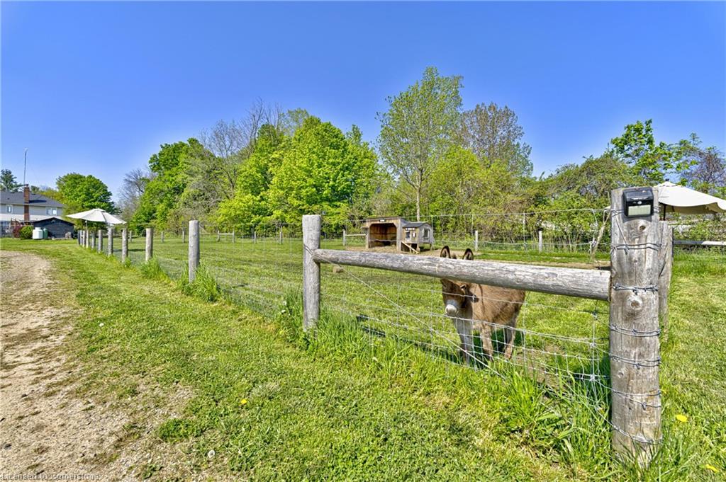 5489 Milburough Line Property Photo 39