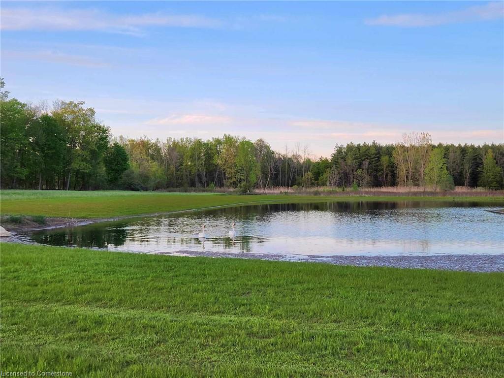 5489 Milburough Line Property Photo 44