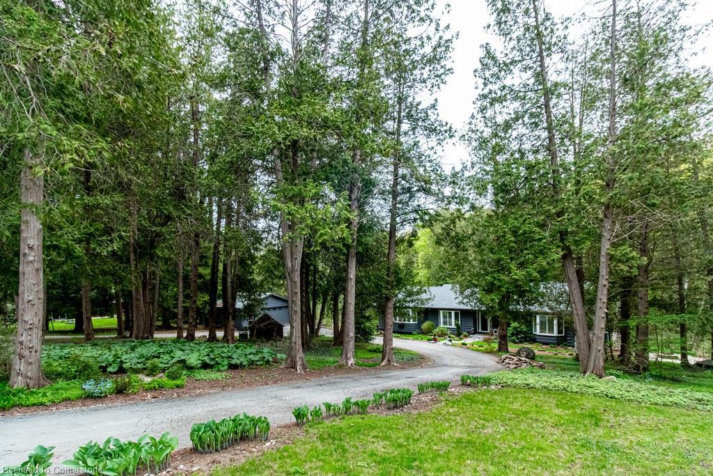 6087 Cedar Springs Road Property Photo 1