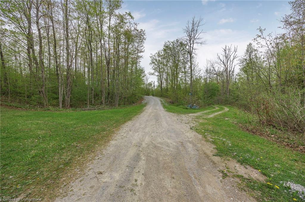 1979 County Road 48 Road Property Photo 41