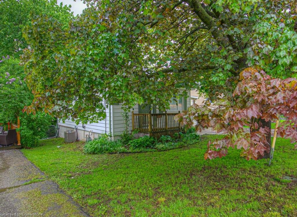84 Cedar Street Property Photo 4