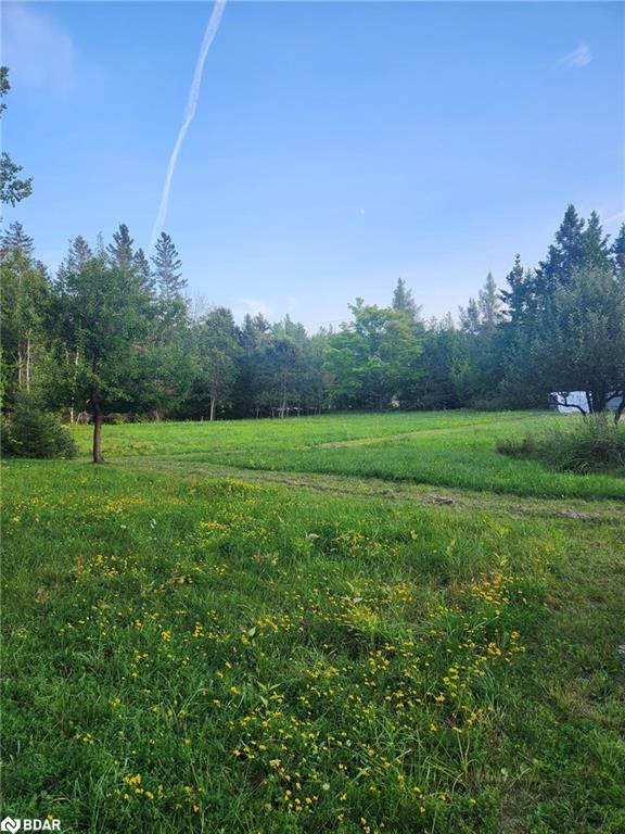 20250 Hwy 540 Property Photo 6