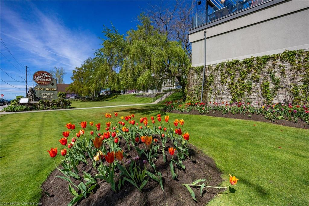 19 Walker Street Property Photo 33